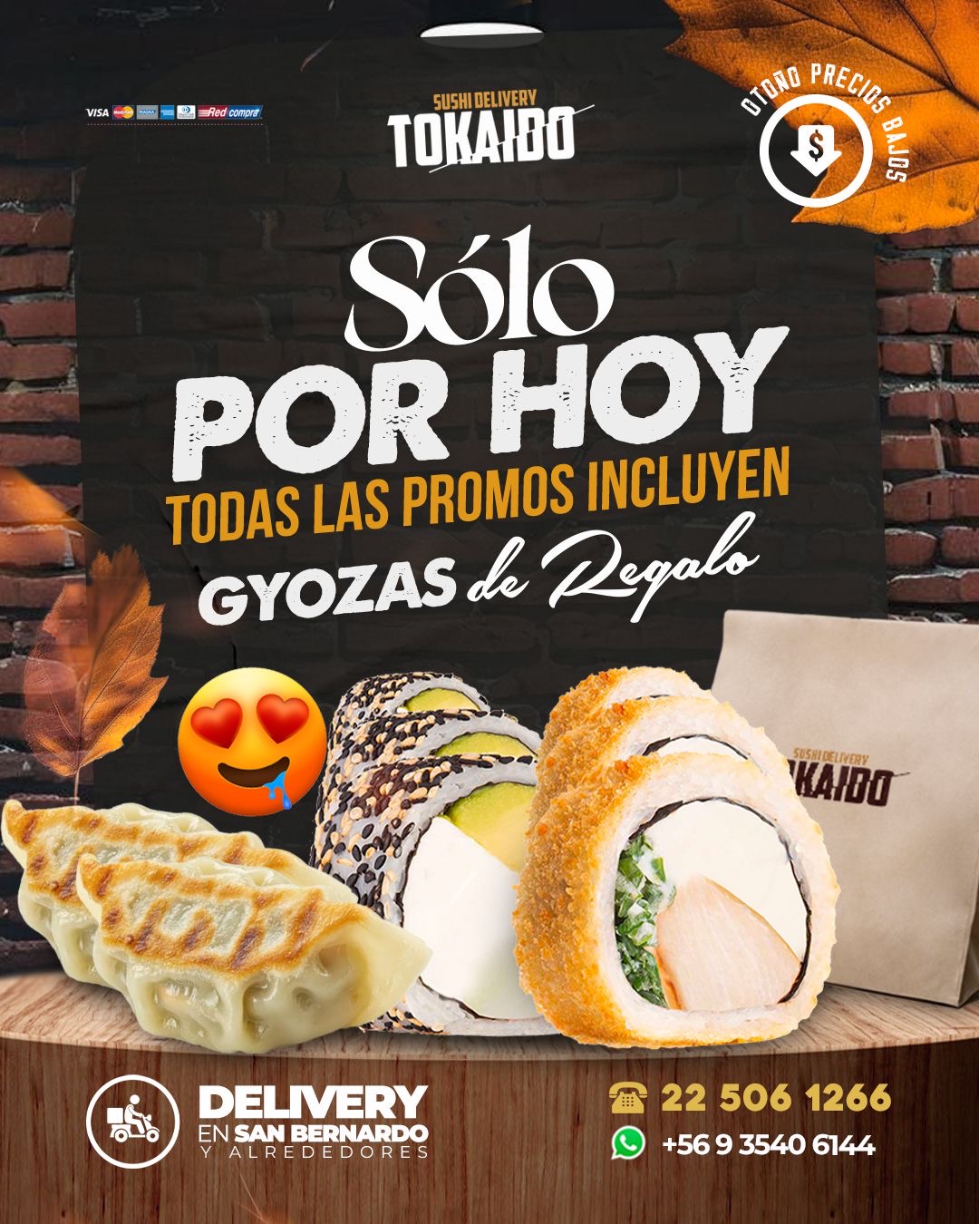 Gyozas de regalo